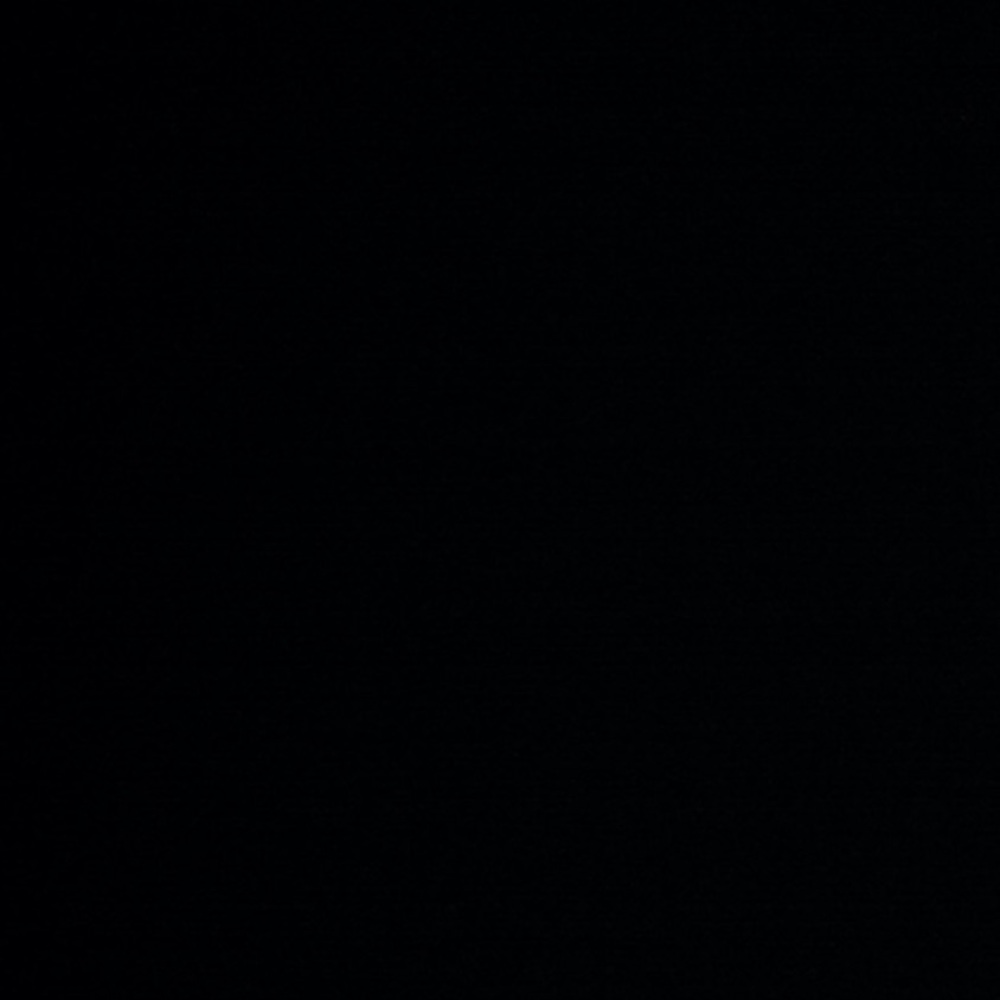 Meet your Posher, Brody